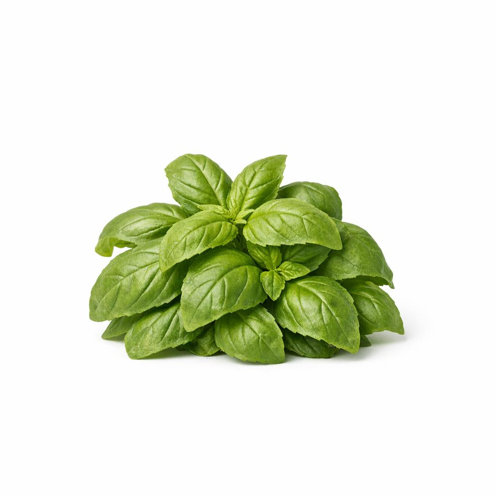 71803 - Organic Basil Extract