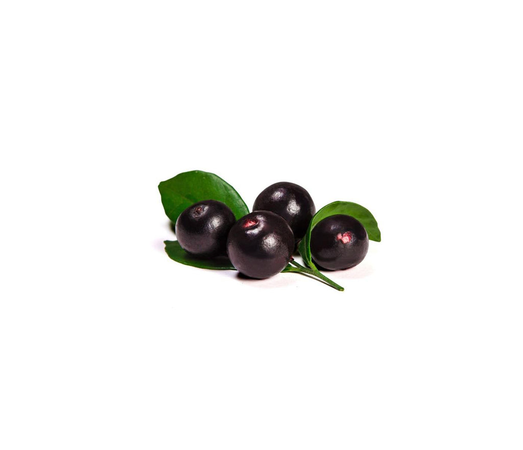 100 % reines Bio Acai Pulver in höchster Qualität, reich an Antioxidantien, Vitaminen und Mineralstoffen. Dieses Superfood unterstützt Immunsystem, Energie und gesunde Ernährung und eignet sich ideal für Smoothies, Bowls und Nahrungsergänzungsmittel. Aplantis ist Großhändler für Bio Acai Pulver – im B2B-Großhandel kaufen, perfekt für Händler und Wiederverkäufer, die Premium-Superfoods anbieten möchten.