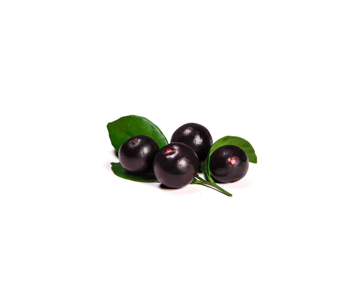 Bio Acai Pulver, sprühgetrocknet mit 30–40 % Bio-Acai-Fruchtfleisch. Dieses hochwertige Superfood ist reich an Antioxidantien, Vitaminen und Mineralstoffen und unterstützt Energie, Immunsystem und gesunde Ernährung. Ideal für Smoothies, Bowls und Nahrungsergänzungen. Aplantis ist Großhändler für Bio Acai Pulver – im B2B-Großhandel kaufen, perfekt für Händler und Wiederverkäufer, die Premium-Superfoods anbieten möchten.