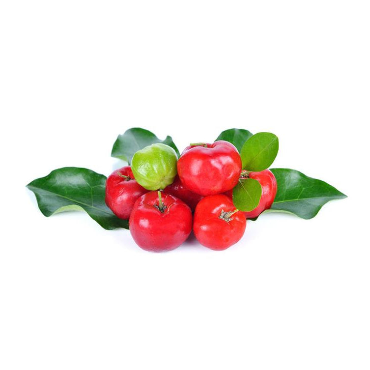 Bio Acerola Pulver mit 17 % natürlichem Vitamin C, zertifiziert nach DE-ÖKO-006. Dieses hochwertige Superfood unterstützt das Immunsystem, fördert Vitalität und eignet sich ideal für Nahrungsergänzungsmittel, Smoothies und gesunde Rezepturen. Reich an Antioxidantien und wertvollen Nährstoffen. Aplantis ist Großhändler für Bio Acerola Pulver – im B2B-Großhandel kaufen, perfekt für Händler und Wiederverkäufer, die Premium-Produkte anbieten möchten.
