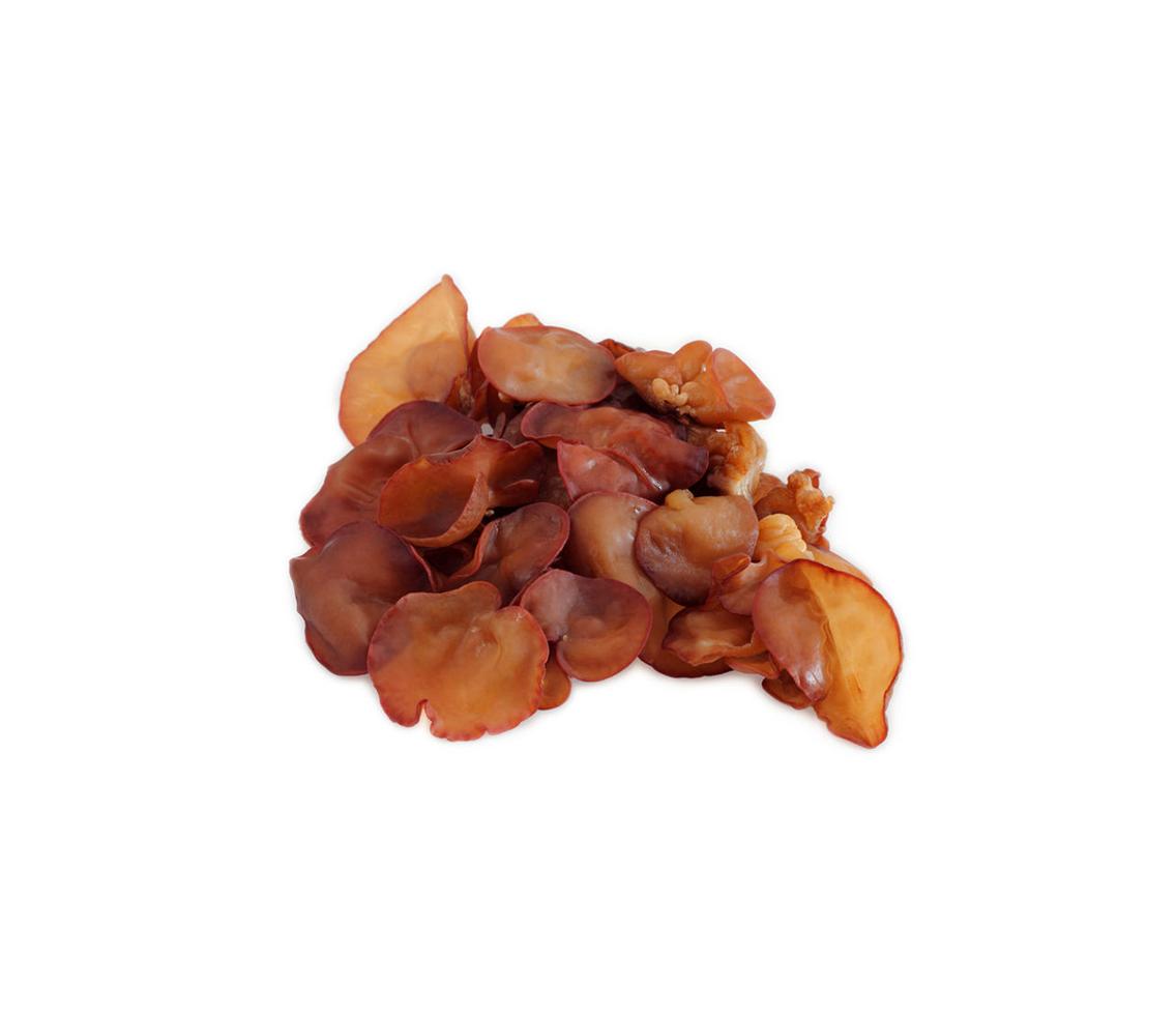 Bio Auricularia Auricula Pilz Extrakt im Verhältnis 10:1, hochkonzentrierter Heilpilz-Extrakt. Bekannt für seine positiven Effekte auf Immunsystem und Herz-Kreislauf. Aplantis liefert diesen Bio Pilzextrakt im Großhandel für B2B-Händler und Wiederverkäufer.