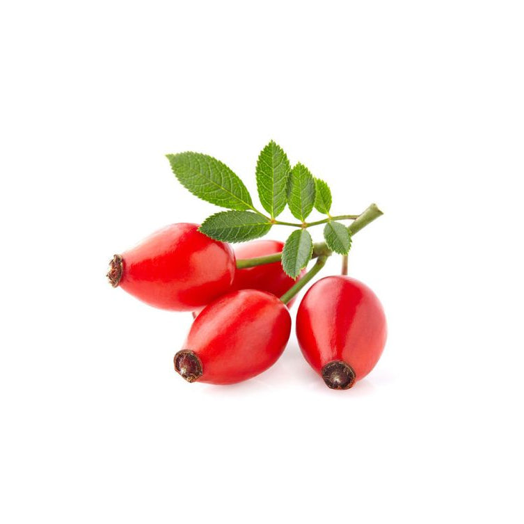 Bio Hagebutten Pulver in Premiumqualität, reich an natürlichem Vitamin C, Mineralstoffen und Antioxidantien. Ideal für Tee, Smoothies, Nahrungsergänzungsmittel und gesunde Backwaren. Das Pulver unterstützt das Immunsystem und fördert Vitalität. Aplantis ist Großhändler für Bio Hagebutten Pulver – im B2B-Großhandel kaufen, perfekt für Händler und Wiederverkäufer von gesundem Superfood und hochwertigen Pulvern.