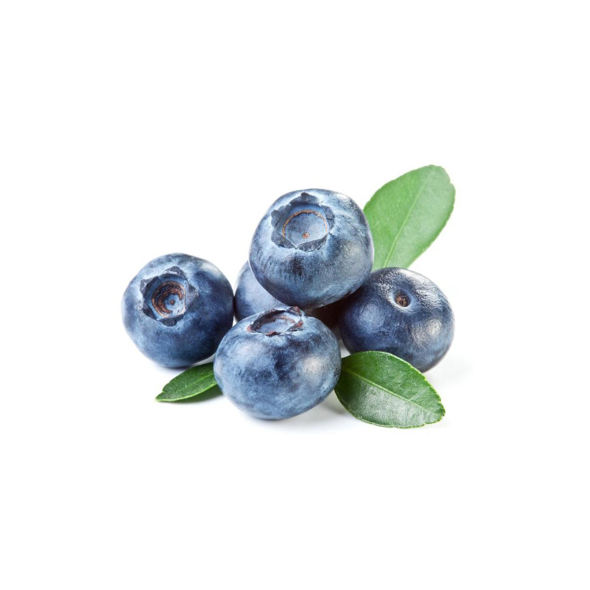 Bio Heidelbeerpulver, gefriergetrocknet und fein vermahlen (< 2 mm), 100 % reine Bio Heidelbeeren. Reich an Antioxidantien, Vitaminen und sekundären Pflanzenstoffen, ideal für Smoothies, Backwaren, Desserts und Nahrungsergänzung. Aplantis ist Großhändler für hochwertiges Bio Heidelbeerpulver – im B2B-Großhandel kaufen, perfekt für Händler und Wiederverkäufer von Superfoods, gesundem Pulver und Nahrungsergänzung.