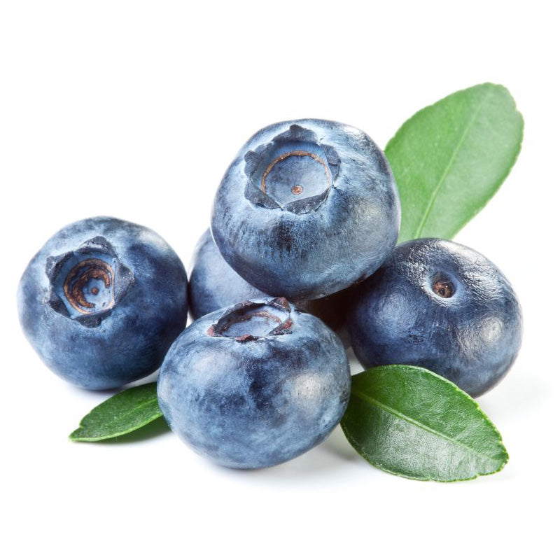 Bio Wildheidelbeerpulver, gefriergetrocknet mit einem Frucht-zu-Pulver-Verhältnis von 8:1, feine Körnung < 1 mm. 100 % naturbelassen, reich an Antioxidantien, Vitaminen und wertvollen Pflanzenstoffen. Perfekt für Smoothies, Backwaren, Superfood-Mischungen und gesunde Nahrungsergänzung. Aplantis ist Ihr Großhändler für hochwertiges Bio Wildheidelbeerpulver – ideal für B2B, Händler und Wiederverkäufer im Großhandel.