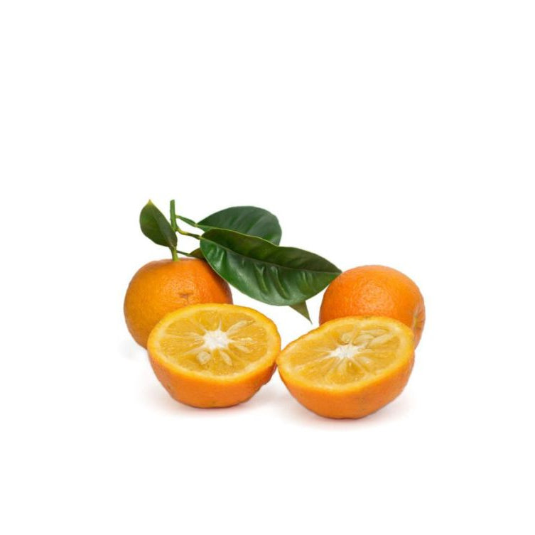Bitterorange Extrakt (Citrus Aurantium) mit 6 % Synephrin, traditionell eingesetzt zur Unterstützung des Stoffwechsels und für natürliche Energie. Geeignet für Nahrungsergänzungsmittel und Superfood-Produkte. Aplantis bietet diesen Extrakt im B2B-Großhandel für Händler und Wiederverkäufer an.