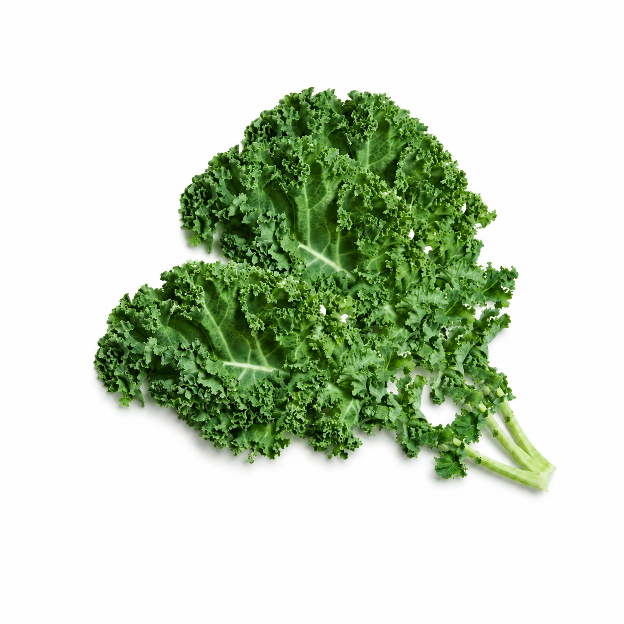 72164 - Organic Kale Powder