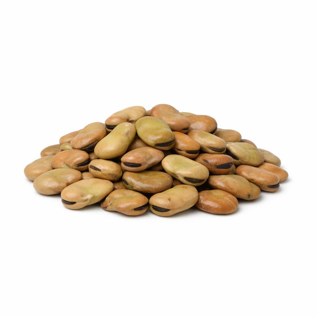 70243 - Fava Protein Pulver