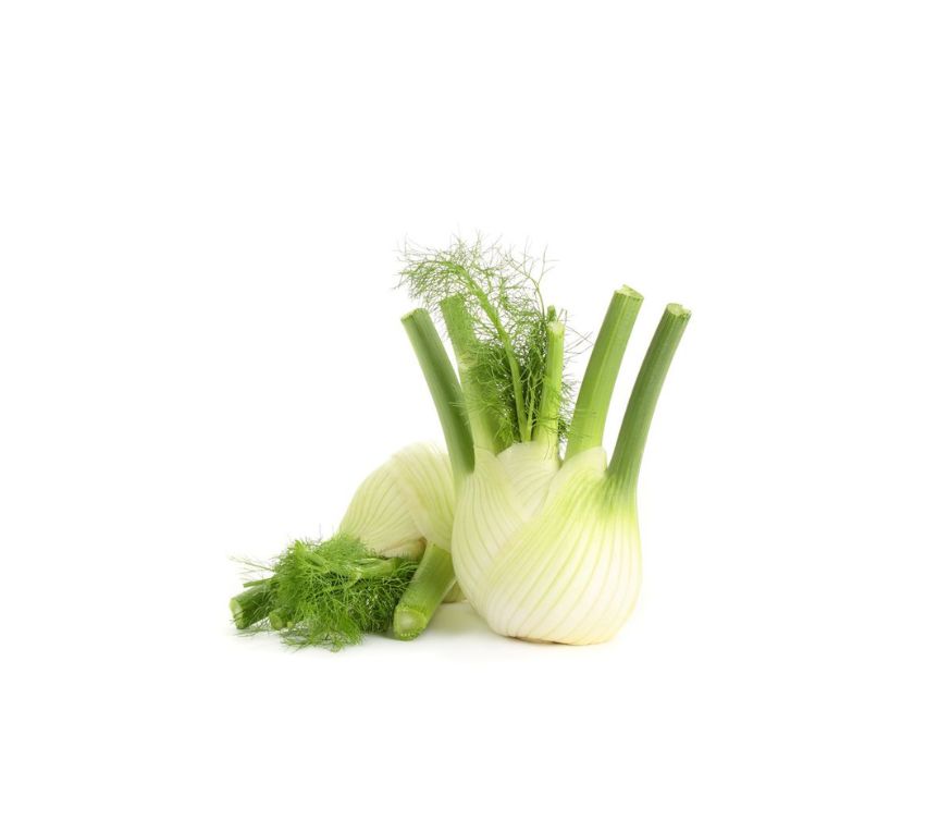 Fenchel Samen Extrakt (4:1 Ratio). Natürliches Extrakt zur Unterstützung von Magen-Darm-Gesundheit und allgemeinem Wohlbefinden. Aplantis ist Großhändler für Fenchel Samen Extrakte für Supplemente und Naturprodukte.