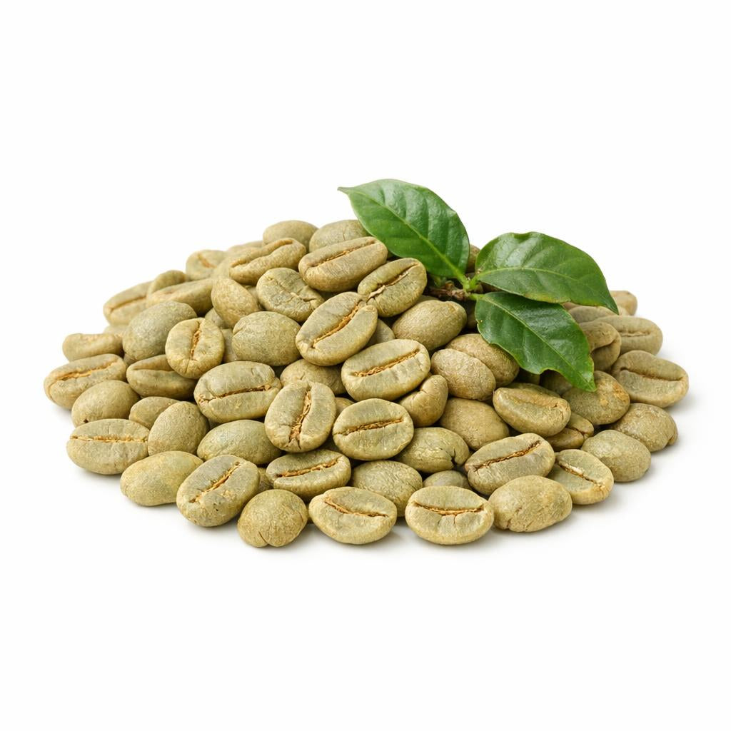 74048 - Grüner Kaffee Extrakt