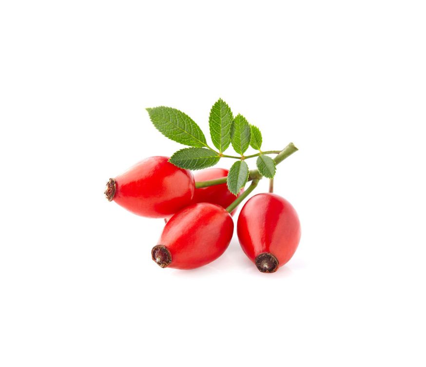 Hagebutten Frucht Extrakt mit 25 % Vitamin C, ein hochwertiges Superfood und wertvolles Nahrungsergänzungsmittel zur Unterstützung des Immunsystems, antioxidativen Schutzes und allgemeiner Gesundheit. Dieser Extrakt überzeugt durch seine natürliche Vitamin-C-Quelle und eignet sich ideal für die Herstellung von Pulvern, Kapseln oder funktionellen Mischungen. Aplantis ist Großhändler für Hagebutten Frucht Extrakt und bietet dieses Produkt im B2B-Großhandel für Händler, Hersteller und Wiederverkäufer an. Jetzt