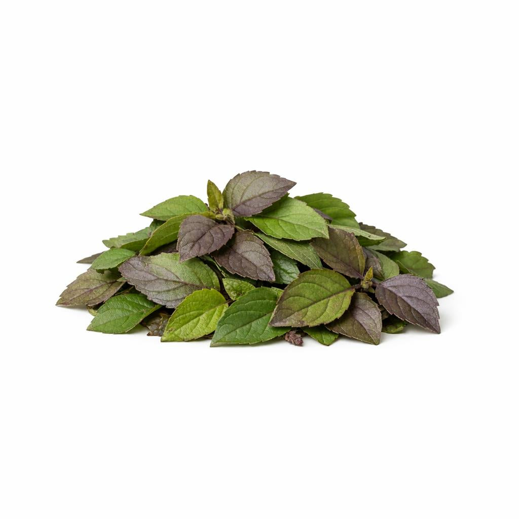 74469 - Bio Indisches Basilikum Extract