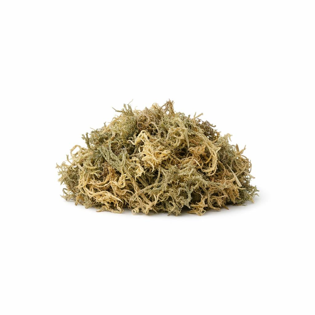 75264 - Bio Irisch Moos Pulver