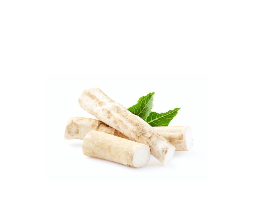 Meerrettich Extrakt im 4:1 Ratio Extract, ein traditionelles Superfood und vielseitiges Nahrungsergänzungsmittel mit wertvollen Senfölglycosiden zur Unterstützung von Immunsystem, Atemwegen und Verdauung. Dieser konzentrierte Extrakt eignet sich hervorragend für die Weiterverarbeitung in Pulvern, Kapseln oder funktionellen Mischungen. Aplantis ist Großhändler für Meerrettich Extrakt und bietet dieses hochwertige Produkt im B2B-Großhandel für Händler, Hersteller und Wiederverkäufer an. Jetzt Meerrettich Extr