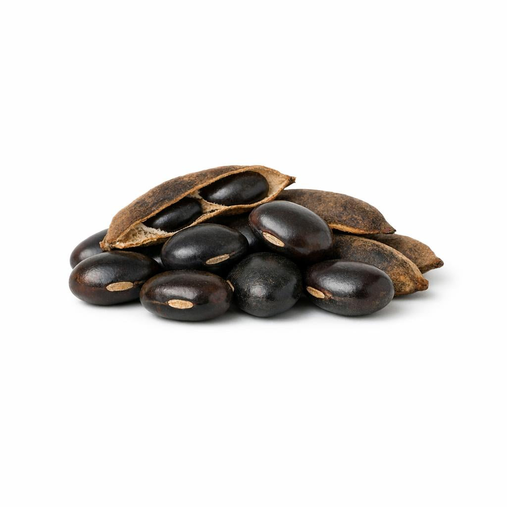 72236 - Mucuna Pruriens Extrakt (Juckbohne)