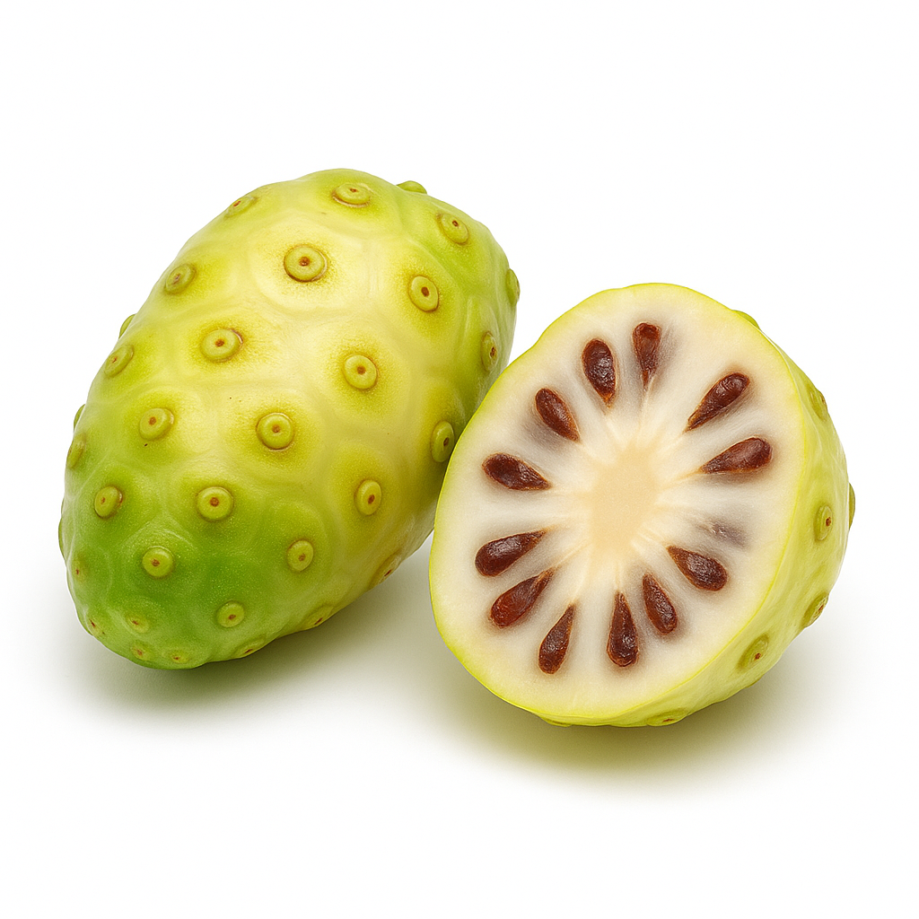 Noni Extrakt im 5:1 Ratio Extract, ein exotisches Superfood und wertvolles Nahrungsergänzungsmittel zur Unterstützung von Immunsystem, Verdauung und allgemeinem Wohlbefinden. Dank der konzentrierten Extraktion überzeugt der Extrakt durch seine hohe Qualität und eignet sich ideal für die Weiterverarbeitung in Pulvern, Kapseln oder funktionellen Mischungen. Aplantis ist Großhändler für Noni Extrakt und bietet dieses hochwertige Produkt im B2B-Großhandel für Händler, Hersteller und Wiederverkäufer an. Jetzt No