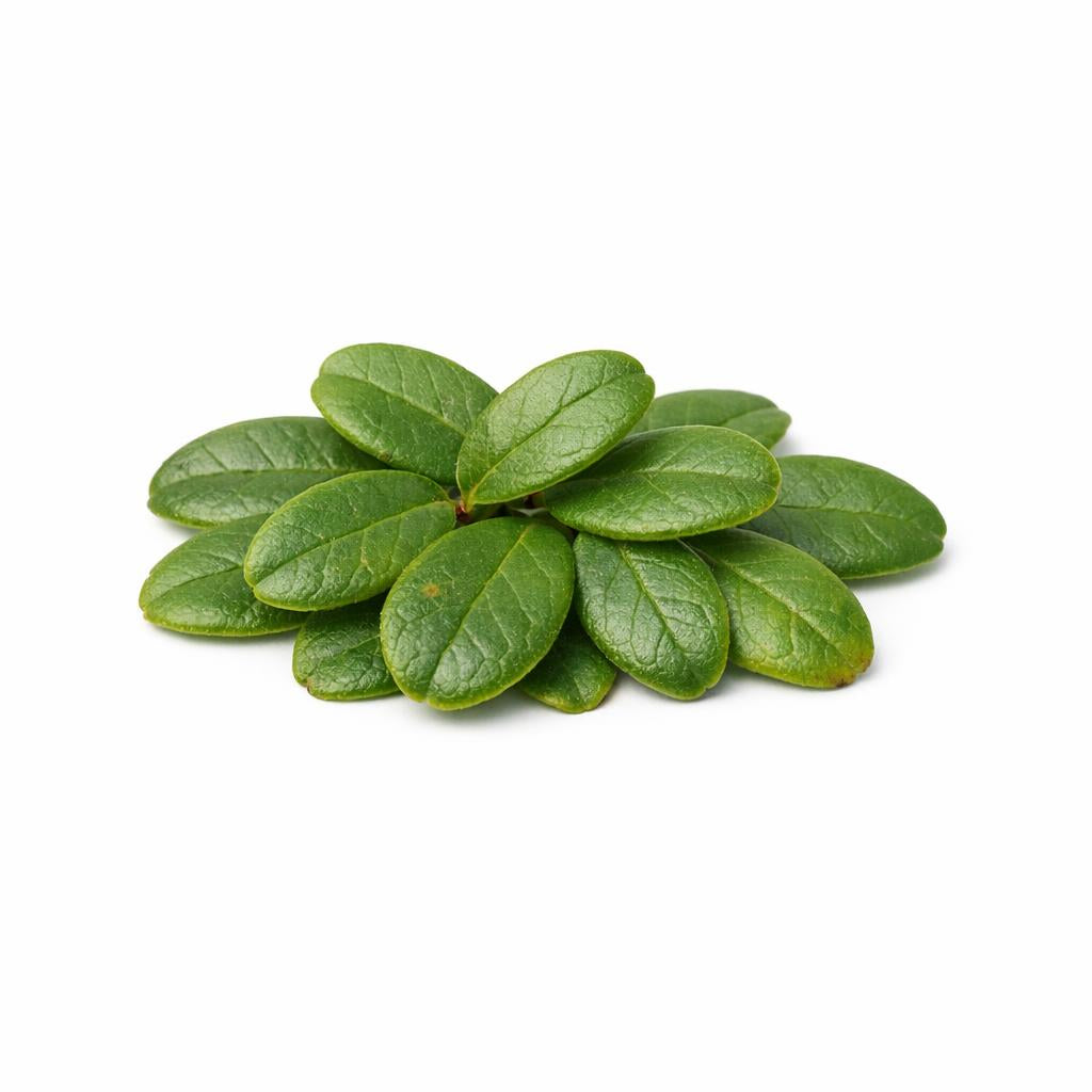 71815 - Preiselbeeren Blatt Extrakt (Added)