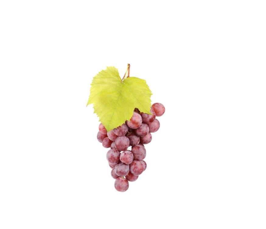 Roter Weinblatt Extrakt Pulver in hochwertiger Qualität – reich an Polyphenolen, Flavonoiden und Antioxidantien. Ideal für Nahrungsergänzungsmittel, funktionelle Lebensmittel und Gesundheitsprodukte. Unterstützt die Durchblutung, stärkt Venen und Gefäße und trägt zum allgemeinen Wohlbefinden bei. Das natürliche Superfood-Pulver überzeugt durch hohe Reinheit und Wirksamkeit. Aplantis ist Großhändler für Roten Weinblatt Extrakt und bietet dieses Premiumprodukt im B2B-Großhandel für Händler und Wiederverkäufer