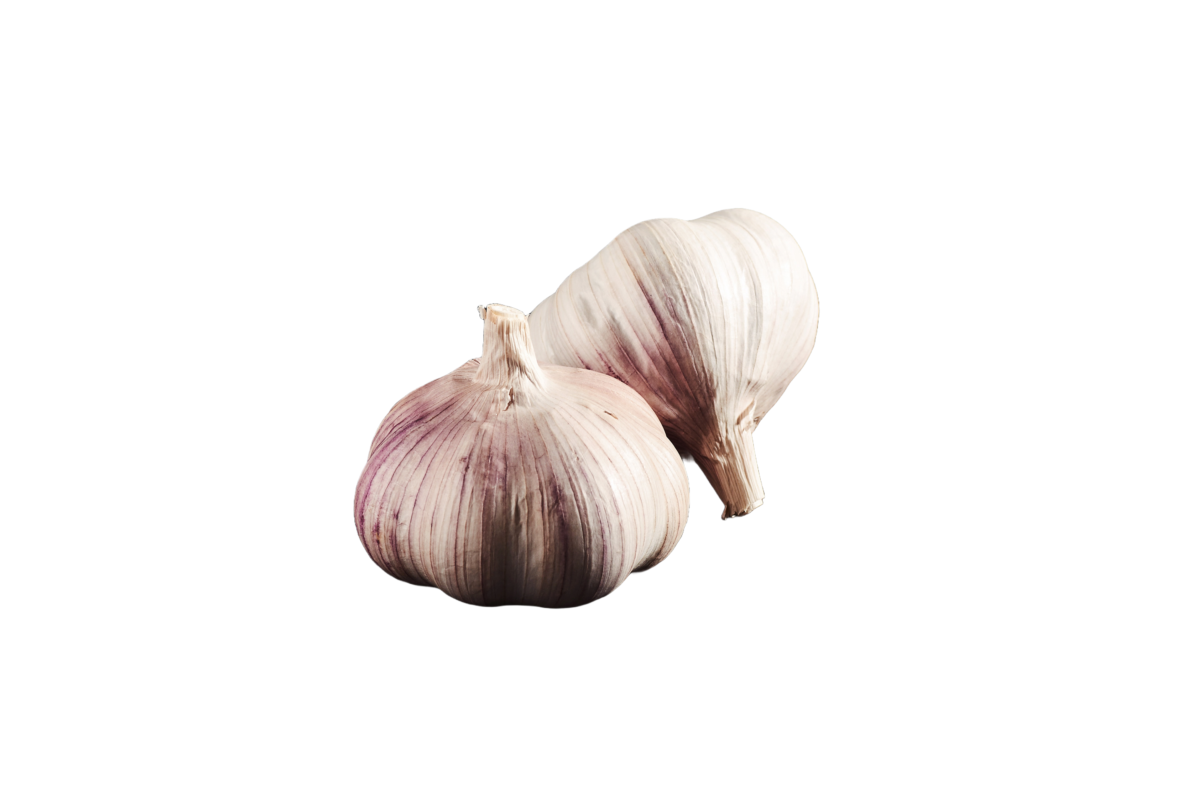 Hochwertiger Schwarzer Knoblauch Extrakt mit 0,1 % S-Allyl-L-Cysteine (SAC), ideal für bio Premium-Pulver, Nahrungsergänzung und gesundheitsorientierte Formulierungen. Das Extrakt überzeugt durch seine antioxidativen Eigenschaften und vielseitigen Einsatzbereiche. Optimal für Hersteller und Händler, die hochwertige Wirkstoffe kaufen oder im Großhandel wiederverkaufen möchten. Aplantis ist zuverlässiger B2B-Großhändler für dieses Qualitätsprodukt.