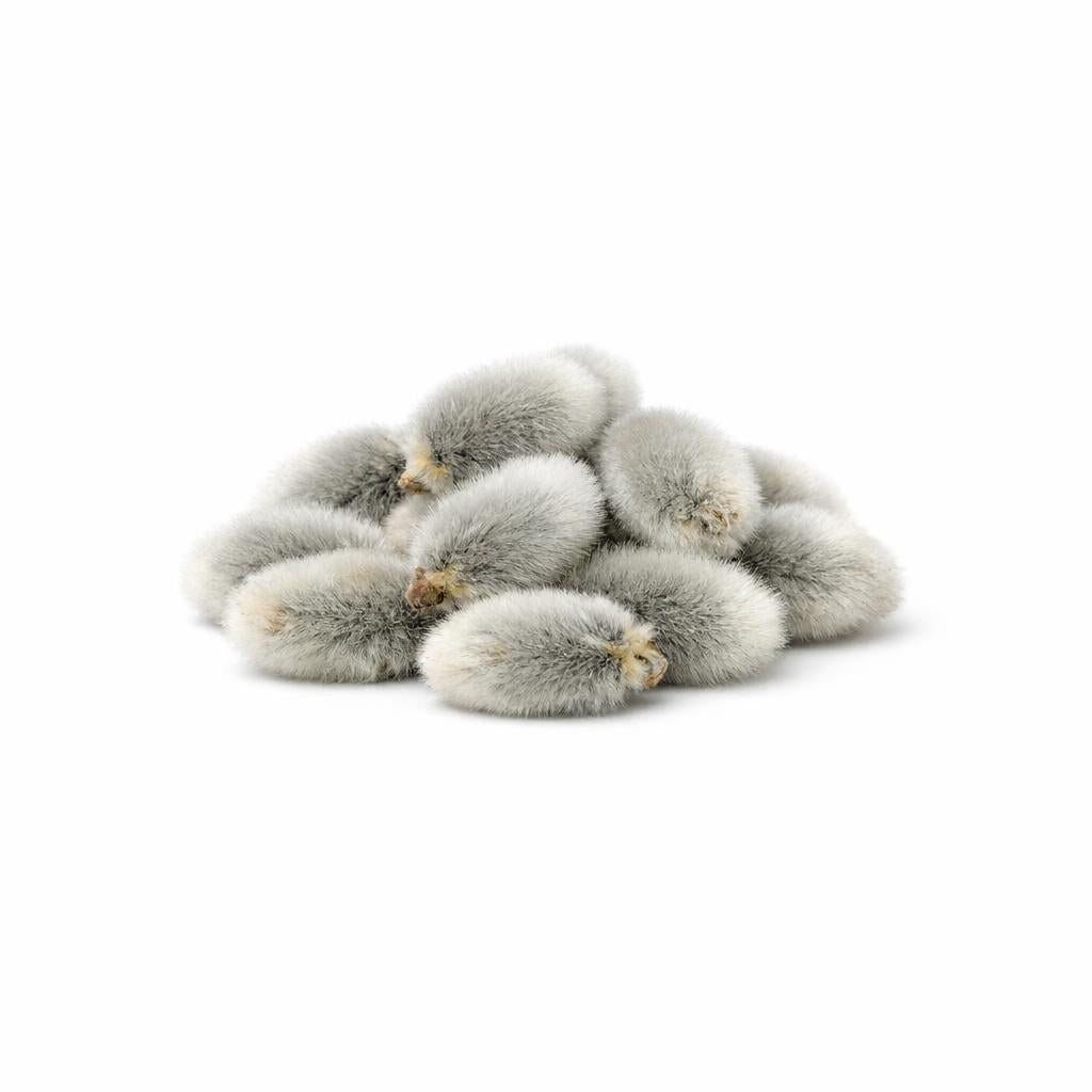 71852 - Silber Weide Extrakt