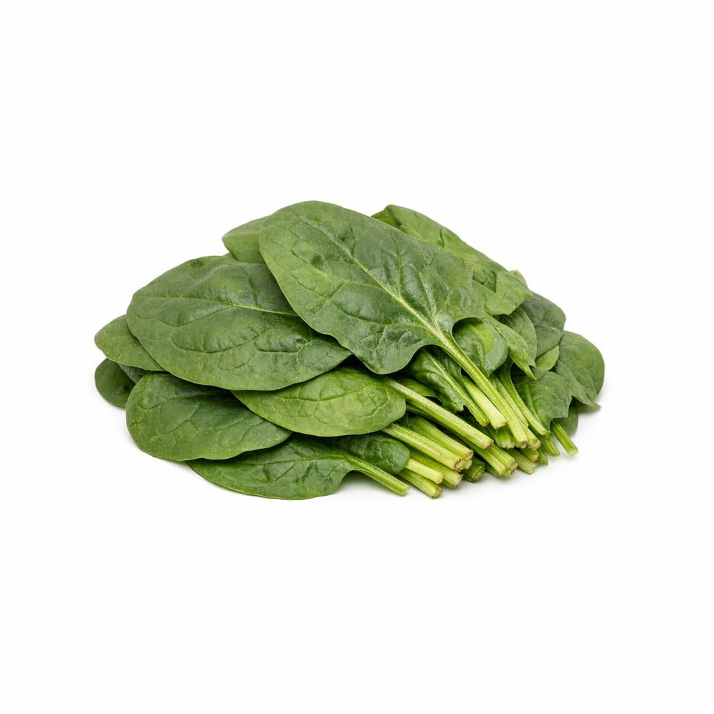 73647 - Spinach Powder