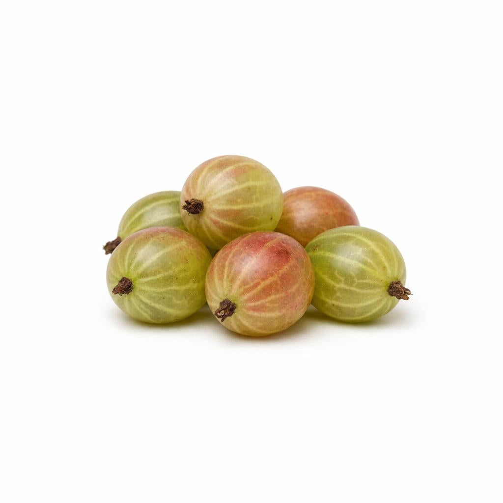 75466 - Stachelbeeren Extrakt