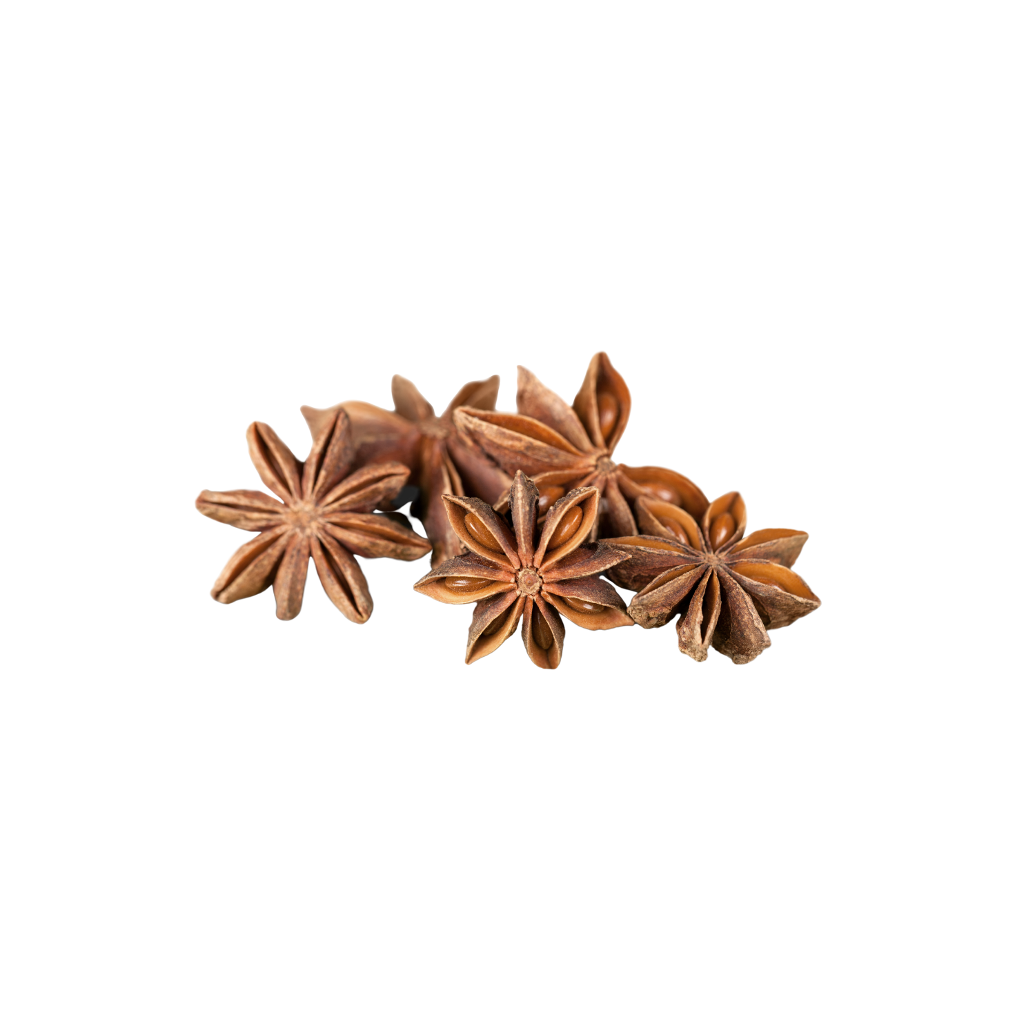 Hochwertiger Sternanis Extrakt im Ratio 4:1, ideal für bio Premium-Pulver, Nahrungsergänzung und aromatische Superfood-Formulierungen. Der konzentrierte Pflanzenextrakt unterstützt Verdauung, Wohlbefinden und bietet natürliche funktionelle Eigenschaften für moderne Gesundheitsprodukte. Optimal für Hersteller und Händler, die wirksame Extrakte kaufen oder im Großhandel wiederverkaufen möchten. Aplantis ist zuverlässiger B2B-Großhändler für dieses hochwertige Produkt.