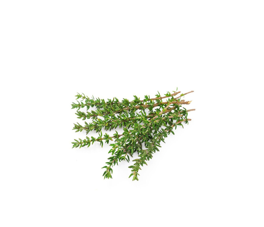 Hochwertiger Thymianextrakt mit mindestens 2–3 % ätherischem Ölkomplex, ideal für gesundheitsorientierte Nahrungsergänzung, natürliche Pulverrezepturen und funktionelle Superfood-Mischungen. Das aromatische Extrakt bietet wertvolle Pflanzenwirkstoffe, vielseitige Einsatzmöglichkeiten und hohe Qualität für professionelle B2B-Formulierungen. Perfekt für Großhandel, Händler und zum Wiederverkaufen. Aplantis ist Großhändler für dieses Premium-Pulver.