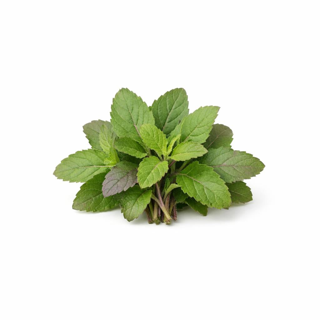 73846 - Tulsi Extrakt
