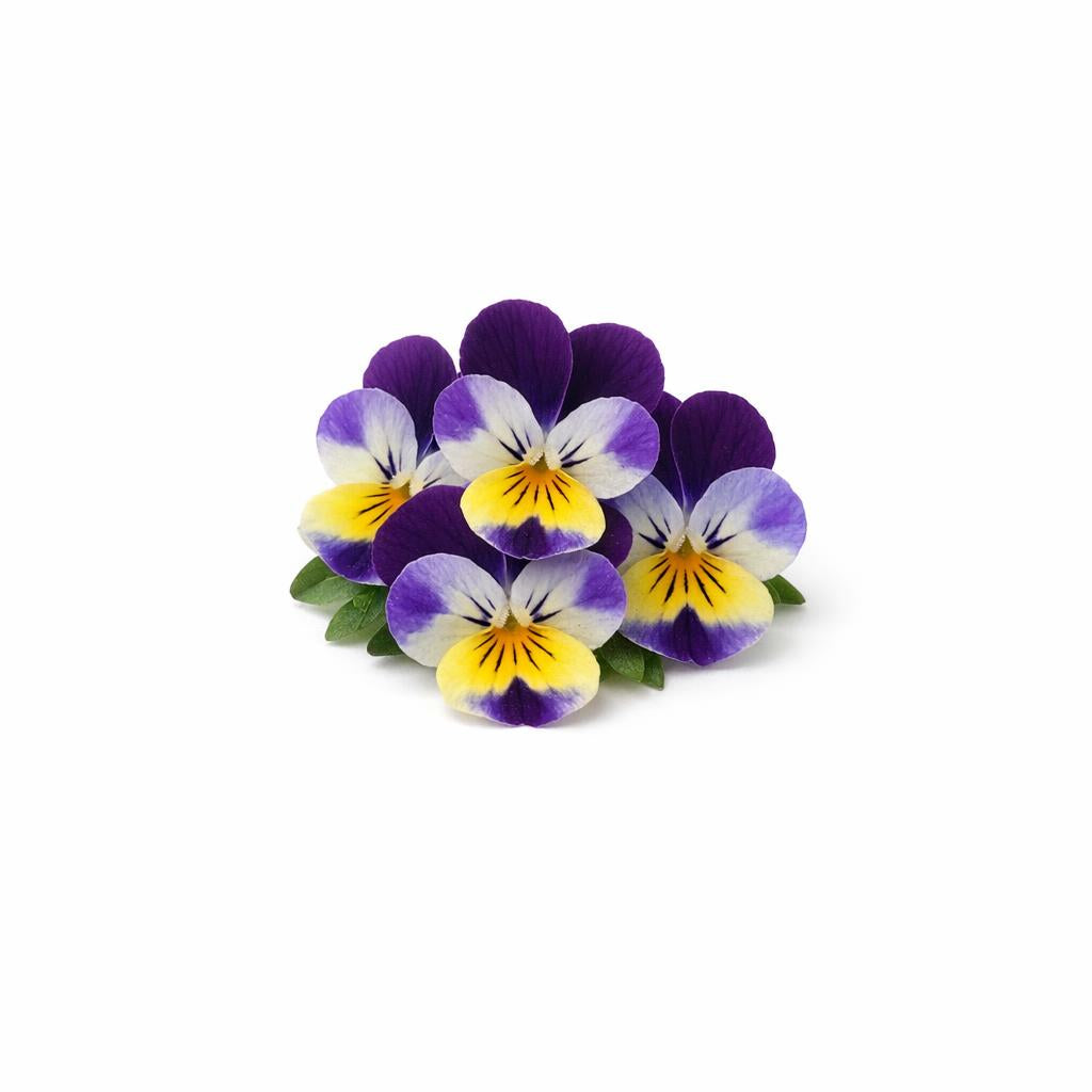 76955 - Viola Tricolor Extrakt