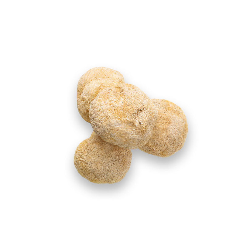 Bio Löwenmähne Extrakt Pulver (Hericium erinaceus) in hochwertiger Qualität – reich an natürlichen Polysacchariden und sekundären Pflanzenstoffen. Ideal für Nahrungsergänzungsmittel, funktionelle Lebensmittel und gesunde Ernährung. Das Superfood unterstützt Konzentration, Nervensystem und mentale Klarheit. Aplantis ist Großhändler für Bio Löwenmähne Extrakt und bietet dieses Premiumprodukt im B2B-Großhandel für Händler und Wiederverkäufer zum Kaufen an. Hochwertiges, bio-zertifiziertes Pilzpulver für ganzhe